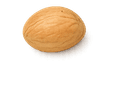 Makademya